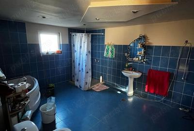 Casă cu 3 camere cu Teren 3000 Mp în Alioș - 7