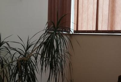 MOSILOR - int. Traian  vila 400 mp pretabila clinica, birouri - 10