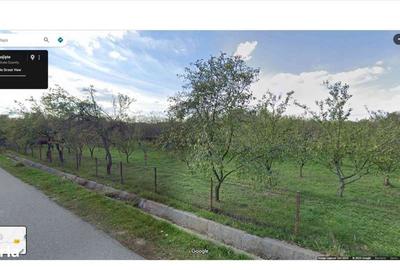 Casă cu 3 camere cu Teren 3207 Mp în Central - 15