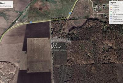 Teren de vanzare in Mihail Kogalniceanu - 3