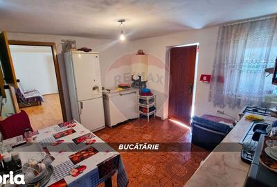 Casă cu 3 camere cu Teren 3724 Mp în Apa - 5