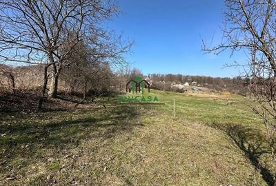 Teren de 8131 mp, în Băile Govora - 4