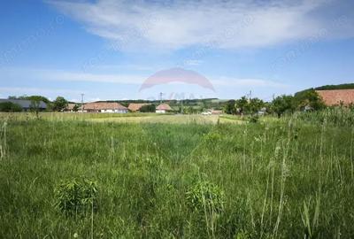 Teren de 15360 mp, în Blăjel - 7