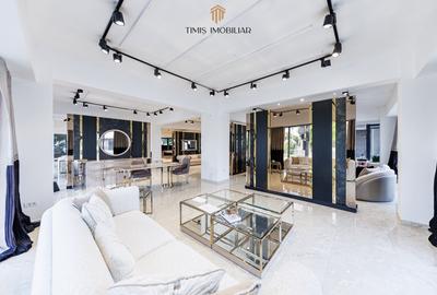 Spațiu comercial, de 450 mp, în Traian - 17