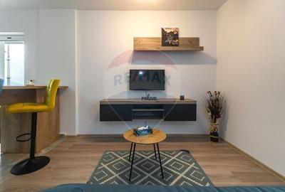 Apartament cu 2 camere semidecomandat, mobilat în Bartolomeu - 15