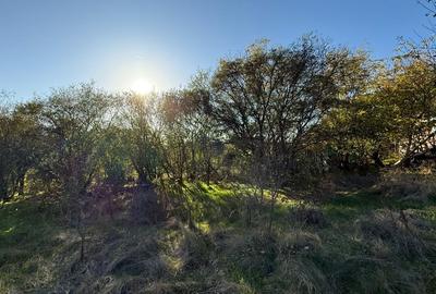 Teren Construcții intravilan de 1976 mp, în Snagov - 4