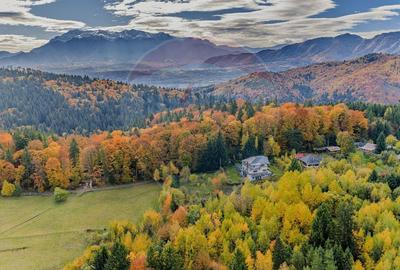 Hotel/Pensiune, de 356 mp, în Poiana Mărului - 8