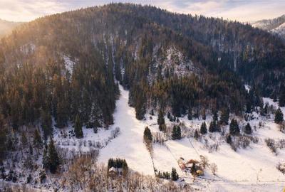 Teren de 7800 mp, în Lunca - 3