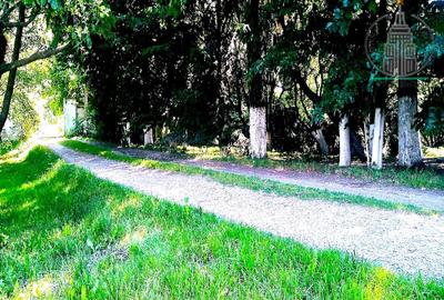 Investitie potential deosebit - Domeniu pe 20.400 mp teren intravilan, Brasov - 2