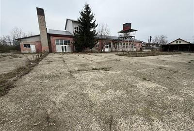 Hale industriale de inchiriat cu platforma betonata de 10.424mp - Șerbanest - 1