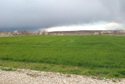 Teren de 3600 mp, în Crevedia - 2