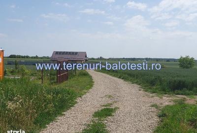 Spațiu comercial, în Balotești - 12
