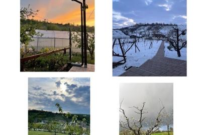 Casă rurală modernizată + 2329 mp teren, livadă și solar în Lipnița - 7