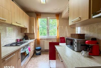 Apartament cu 4 camere semidecomandat în Grigorescu - 4
