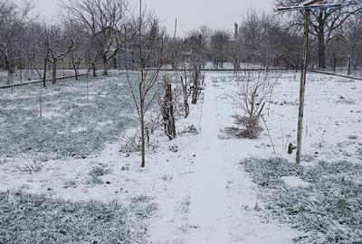 Casă cu 6 camere cu Teren 1400 Mp în Central - 3