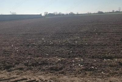 Loturi de vanzare Ordoreanu, terne de 500 m, drum servitute 8 m - 1