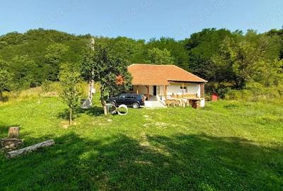 Casă cu Teren 2 Mp în Poieni (Densuș) - 7