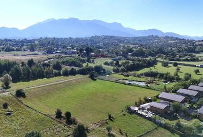 Teren Construcții intravilan de 6648 mp, în Tohanu Nou - 8