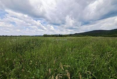 Teren de 500 mp, în Periferie