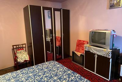 Casă cu 3 camere în Osica de Sus - 13