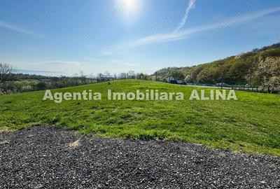 Teren intravilan 6.516 mp in Deva, prelungire str. Vulcan, spre Almas, Jud. Hunedoara. - 7