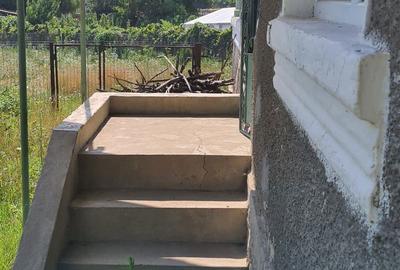 Casă cu 3 camere în Bârsești (Mihăești) - 5