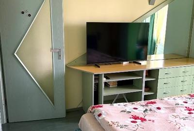Apartament cu 3 camere decomandat, mobilat în Bucovina - 9