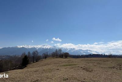 Teren de 4584 mp, în Moieciu - 3