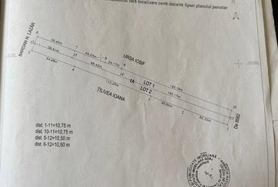 Teren de 6172 mp, în Turcinești - 1