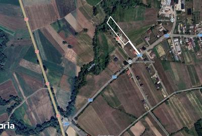 Teren de 2260 mp, în Dumbrăvița - 6