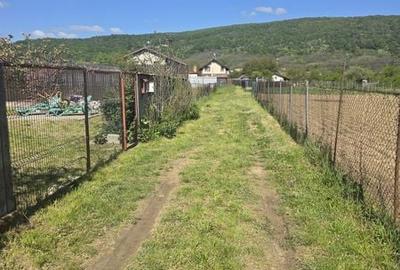 Teren de 1000 mp, în Bujoreni - 2