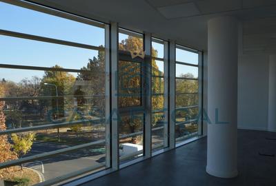 Spatiu de birouri, 160mp utili, zona Cantemir - 12