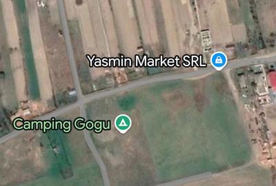 Teren agricol extravilan de 10000 mp, în Maliuc - 1