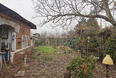 Casă cu Teren 1200 Mp în Gratia - 9