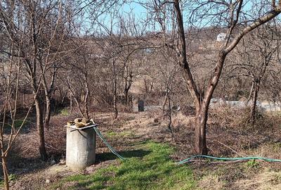 Teren Construcții intravilan de 3000 mp, în Bârnova - 2