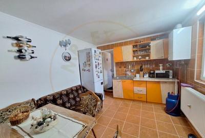 CASA DE VACANTA - UN MIC COLT DE RAI , STEFANESTI, ARGES CASA DE VACANTA - UN MIC COLT DE RAI , STEFANESTI, ARGES - 14