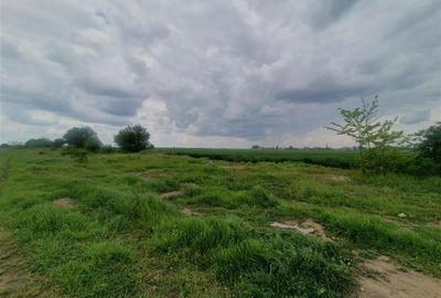 Teren Construcții intravilan de 5000 mp, în Berceni