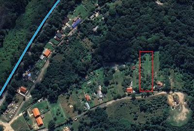 Teren de 2000 mp, în Calea Caransebeșului - 2
