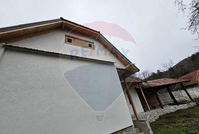 CASA 3 CAMERE SINCA NOUA / 5650 mp teren - 7