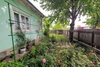 CASA HÂRLĂU + 600 MP teren , vis-a- vis de Peco Petrom ,65000 EURO - 6