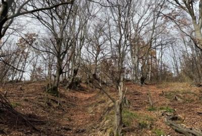 Teren de 8271 mp, în Cerbăl - 2