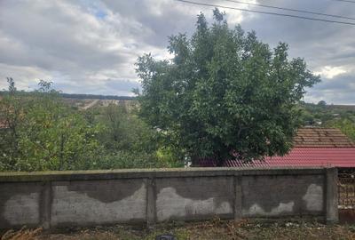 Casă cu 4 camere în Podari - 3