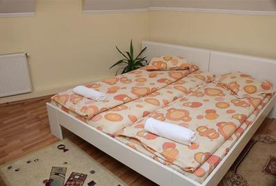 Hotel/Pensiune, de 700 mp, în Ditrău - 4