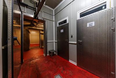 Spațiu industrial, de 1,285 mp, în Dumbrăvița - 11