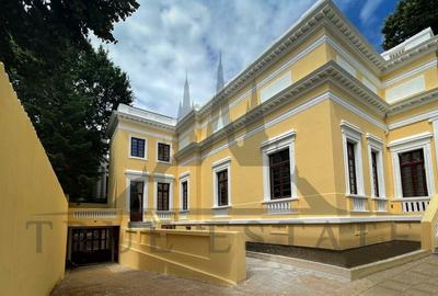 VILA UNICAT IN GRADINA ICOANEI IDEALA PENTRU AMBASADA - 6