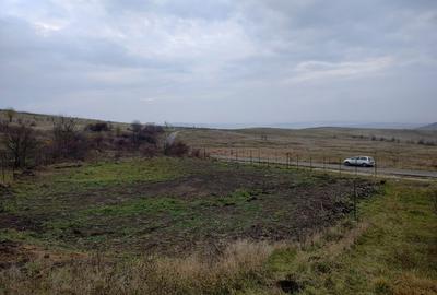 Teren Construcții intravilan de 1131 mp, în Chinteni - 2