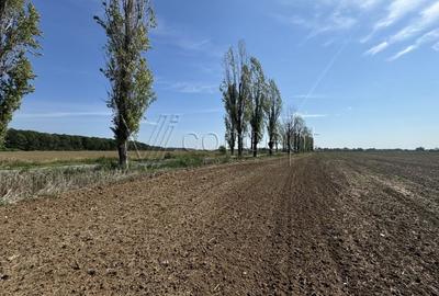 0% comision Teren intravilan – Ciolpani – Izvorani | 1.300 mp - 4