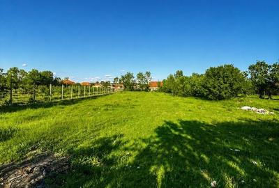 Casă individuală cu 3 camere cu Canalizare în Husasău de Tinca - 3