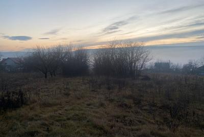 Teren de vanzare 5.370 mp - Dobrovat - 3