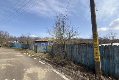 Casă cu 2 camere cu Teren 1191 Mp în Canta - 6